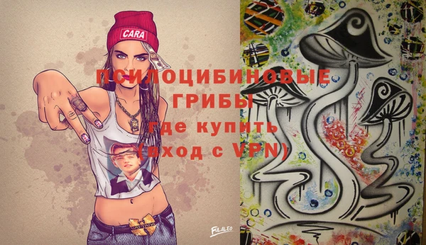 круглые Алзамай